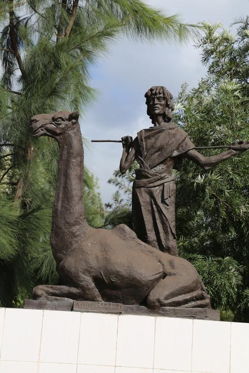 Afarensis International Hotel Addis Ababa Dış mekan fotoğraf